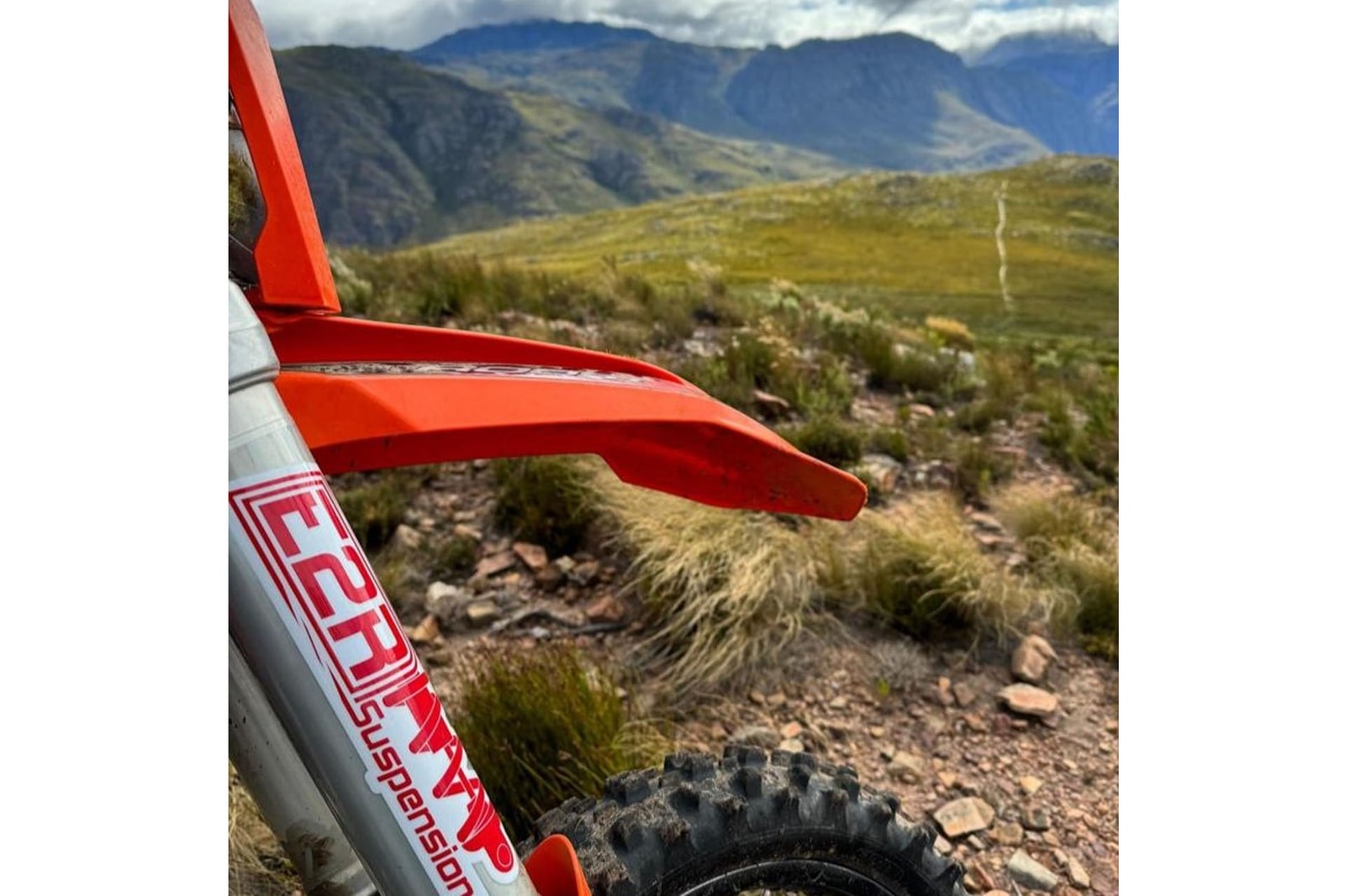 E2R Suspension