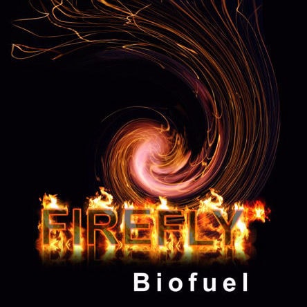 FireFly Bio Fuel