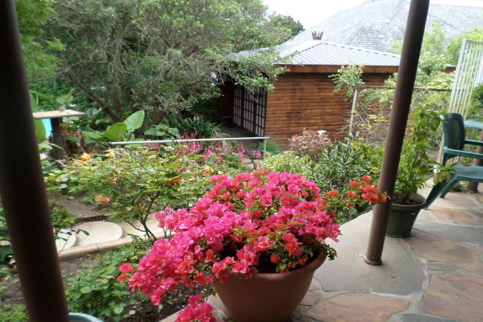 Shibumi Bed and Breakfast