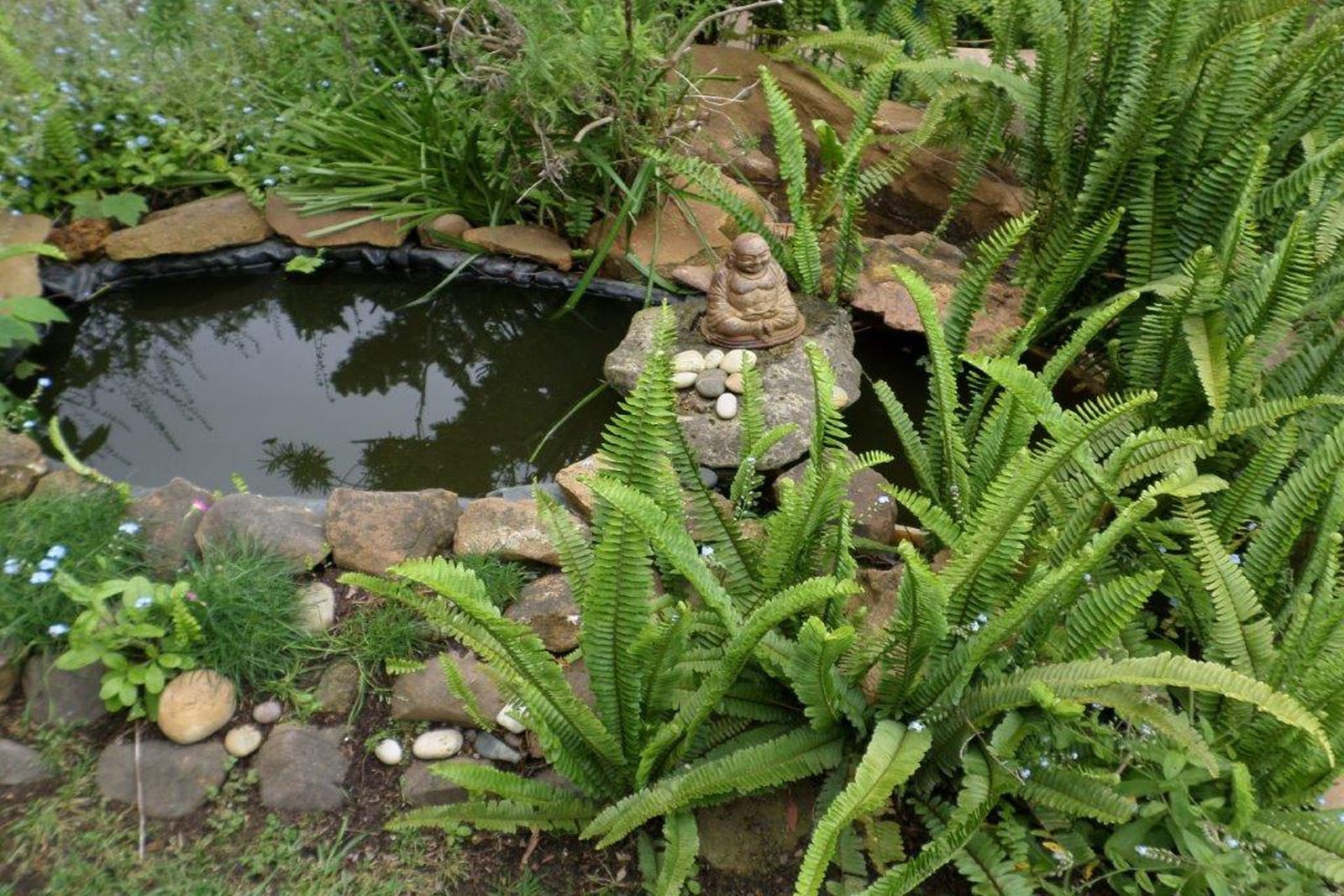 Shibumi Bed and Breakfast